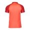 Nike Academy Pro Poloshirt Kids Rot F635 - rot