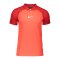 Nike Academy Pro Poloshirt Kids Rot F635 - rot