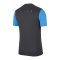 Nike Academy Pro Shirt kurzarm Kids F067 - grau