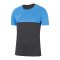 Nike Academy Pro Shirt kurzarm Kids F067 - grau