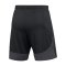 Nike Academy Pro Training Short Schwarz Grau F014 - schwarz