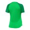 Nike Academy Pro Trainingsshirt Damen Grün Weiss F329 - gruen