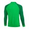 Nike Academy Pro Trainingsjacke Grün Weiss F329 - gruen