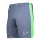 Nike Academy Short Blau Grün F491 - blau