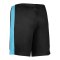 Nike Academy Short Schwarz F013 - schwarz