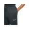 Nike Academy Trainingshose Kids Grün F390 - gruen
