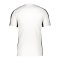 Nike Academy Trainingsshirt Weiss F100 - weiss