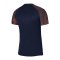 Nike Academy Trikot Blau Rot F411 - blau
