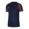 Nike Academy Trikot Blau Rot F411 - blau