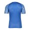 Nike Academy Trikot Blau Weiss F463 - blau