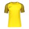Nike Academy Trikot Gelb Schwarz F719 - gelb