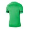 Nike Academy 21 T-Shirt Grün Weiss F362 - gruen