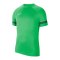 Nike Academy 21 T-Shirt Grün Weiss F362 - gruen