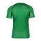 Nike Academy Trikot Kids Grün Weiss F302 - gruen