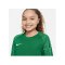 Nike Academy Trikot Kids Grün Weiss F302 - gruen