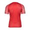 Nike Academy Trikot Kids Rot Weiss F657 - rot