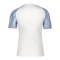 Nike Academy Trikot Kids Weiss Blau F102 - weiss