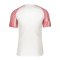 Nike Academy Trikot Kids Weiss Rot F100 - weiss
