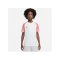 Nike Academy Trikot Kids Weiss Rot F100 - weiss