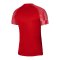 Nike Academy Trikot Rot Weiss F657 - rot