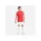 Nike Academy Trikot Rot Weiss F657 - rot