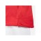 Nike Academy Trikot Rot Weiss F657 - rot