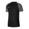 Nike Academy Trikot Schwarz Weiss F010 - schwarz