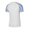 Nike Academy Trikot Weiss Blau F102 - weiss