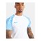 Nike Academy Trikot Weiss Blau F102 - weiss