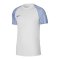 Nike Academy Trikot Weiss Blau F102 - weiss