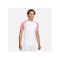 Nike Academy Trikot Weiss Rot F100 - weiss