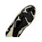 Nike Air Zoom Mercurial Vapor XV Academy FG/MG Mad Ready Beige Schwarz F700 - beige