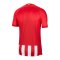 Nike Atletico Madrid Trikot Home 2023/2024 Rot F613 - rot