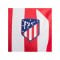 Nike Atletico Madrid Trikot Home 2023/2024 Rot F613 - rot