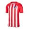 Nike Atletico Madrid Trikot Home 2023/2024 Rot F613 - rot