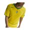 Nike Brazil Reissue 2004 Trikot Gelb F741 - gelb