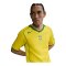 Nike Brazil Reissue 2004 Trikot Gelb F741 - gelb