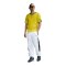 Nike Brazil Reissue 2004 Trikot Gelb F741 - gelb