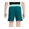 Nike CBF Brasilien Academy Pro Short Kids Grün F381 - gruen