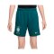 Nike CBF Brasilien Academy Pro Short Kids Grün F381 - gruen