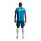 Nike CBF Brasilien Strike Short Grün F381 - gruen