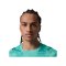 Nike CBF Brasilien Torwarttrikot WM 2026 Grün F369 - gruen
