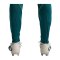 Nike CBF Brasilien Trainingshose Grün F381 - gruen