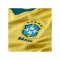 Nike CBF Brasilien Trikot Home WM 2026 Damen Gelb F724 - gelb