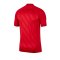 Nike Challenge III Trikot kurzarm Rot F657 - rot