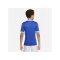 Nike Challenge IV Trikot Kids Blau Weiss F463 - blau