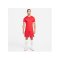 Nike Challenge IV Trikot Rot Weiss F657 - rot