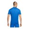 Nike Challenge V Trikot Blau Weiss F463 - blau