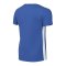 Nike Challenge V Trikot Kids Blau Weiss F463 - blau