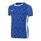 Nike Challenge V Trikot Kids Blau Weiss F463 - blau